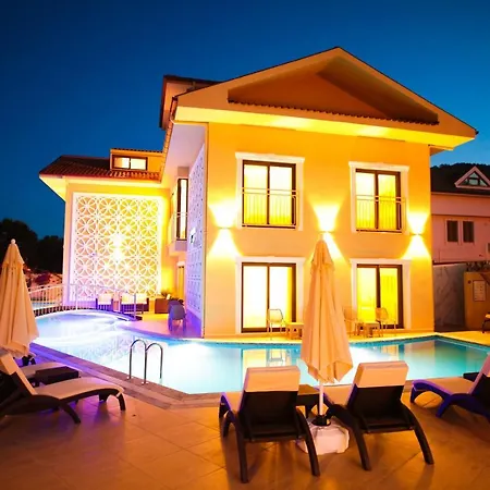 Dna (adults Only) 달리안