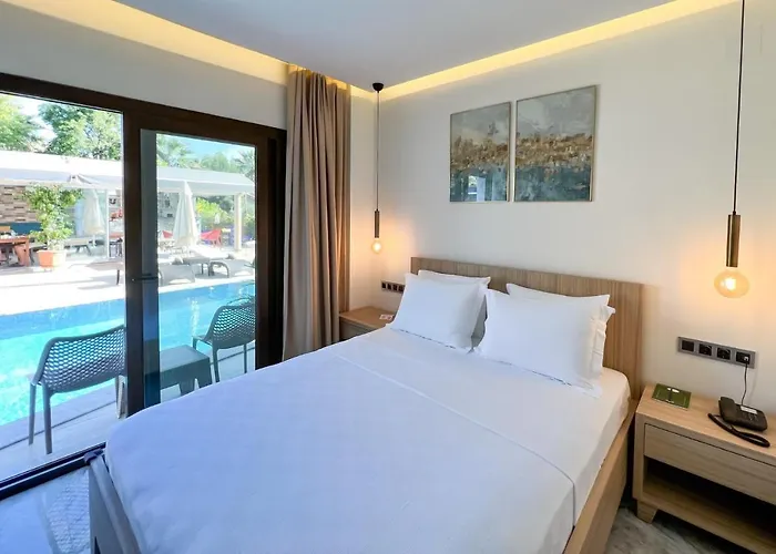 Dna (adults Only) Dalyan